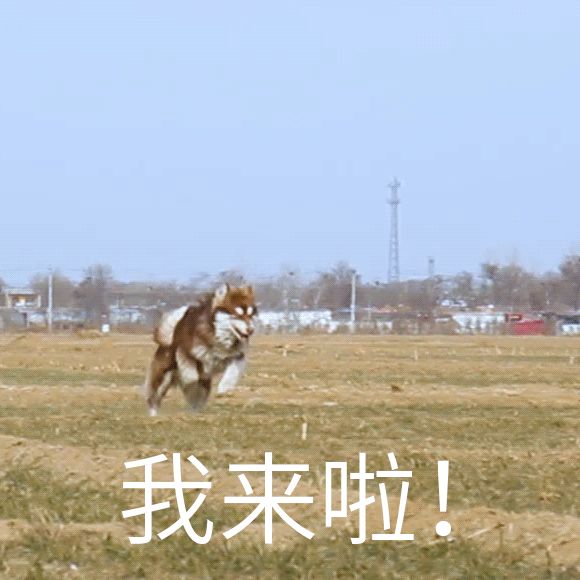 清明广州温泉攻略2025 最新推荐 + 6 大热门温泉特惠套餐