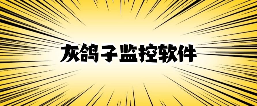 想监控局域网内的电脑？分享九款超好用的局域网电脑监控 APP，别错过！(图7)