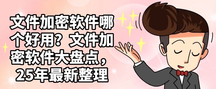 文件加密软件哪个好用？文件加密软件大盘点，25年最新排行榜(图1)