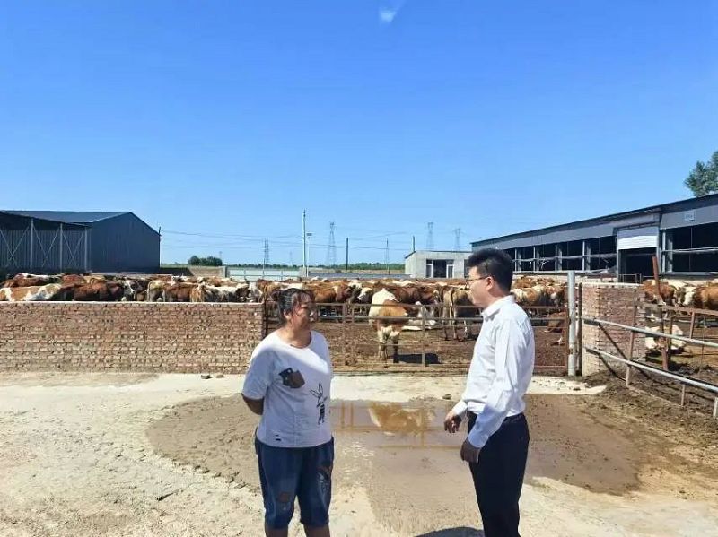 东北再担保公司锻造新时代年轻干部队伍的实践探索