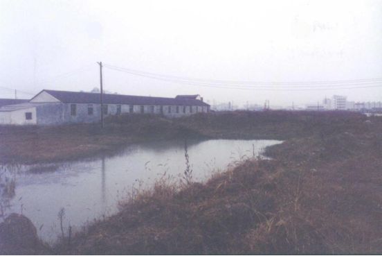 技术为骨、长期主义为魂,奇瑞再登世界500强-擎动 - 玩转“汽车+”!