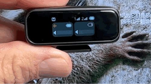 南卡Qmic领夹麦体验:数码达人的“声音美颜神器”,视频党狂喜!