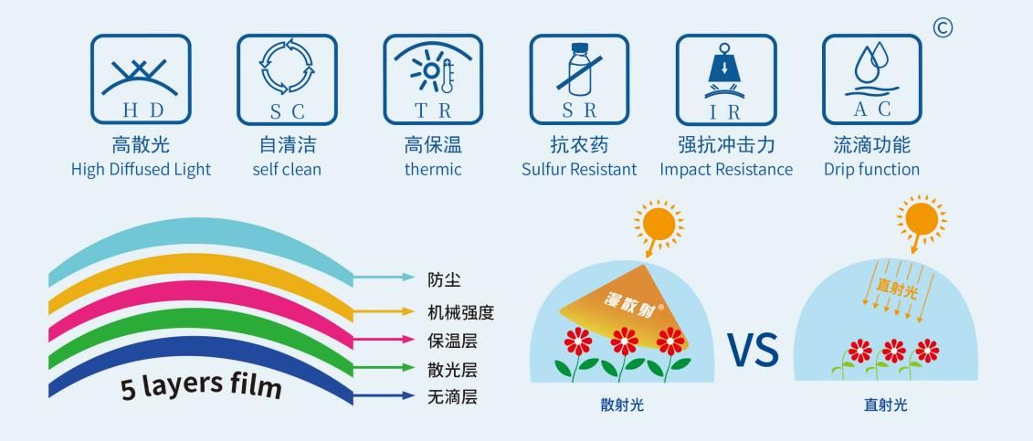 高原晝夜溫差大？雷馬農(nóng)膜系列產(chǎn)品助力微小氣候種植降本增效