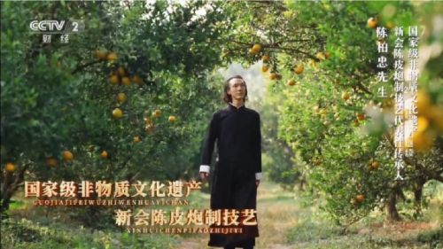 新宝堂：打造全流程溯源的新会陈皮仓储流通中心