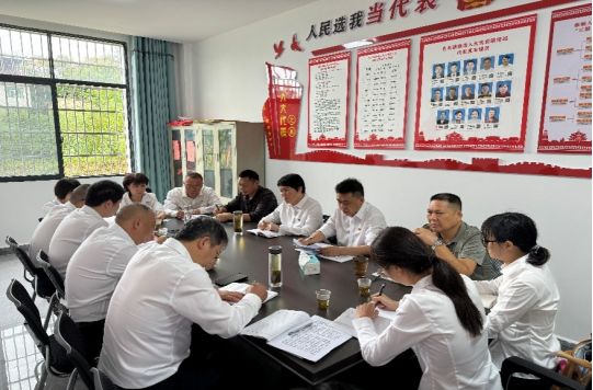 湖北蕲春：党建红引领产业兴 张畈村振兴有新招