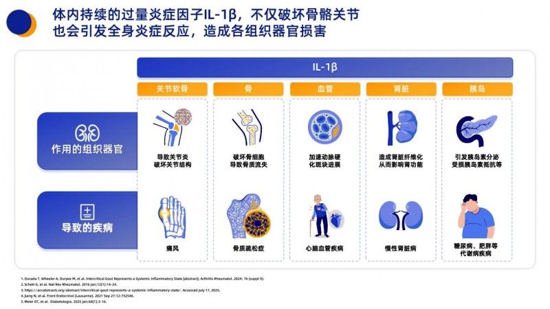 警惕身体里的“叛徒”：白介素 - 1β 如何引发炎症风暴？