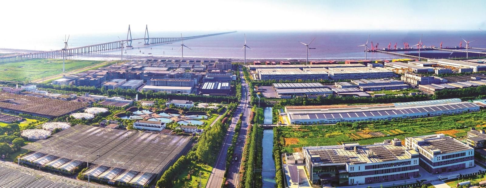 营商沃土筑根基 海盐经开区绽放产业振兴繁花