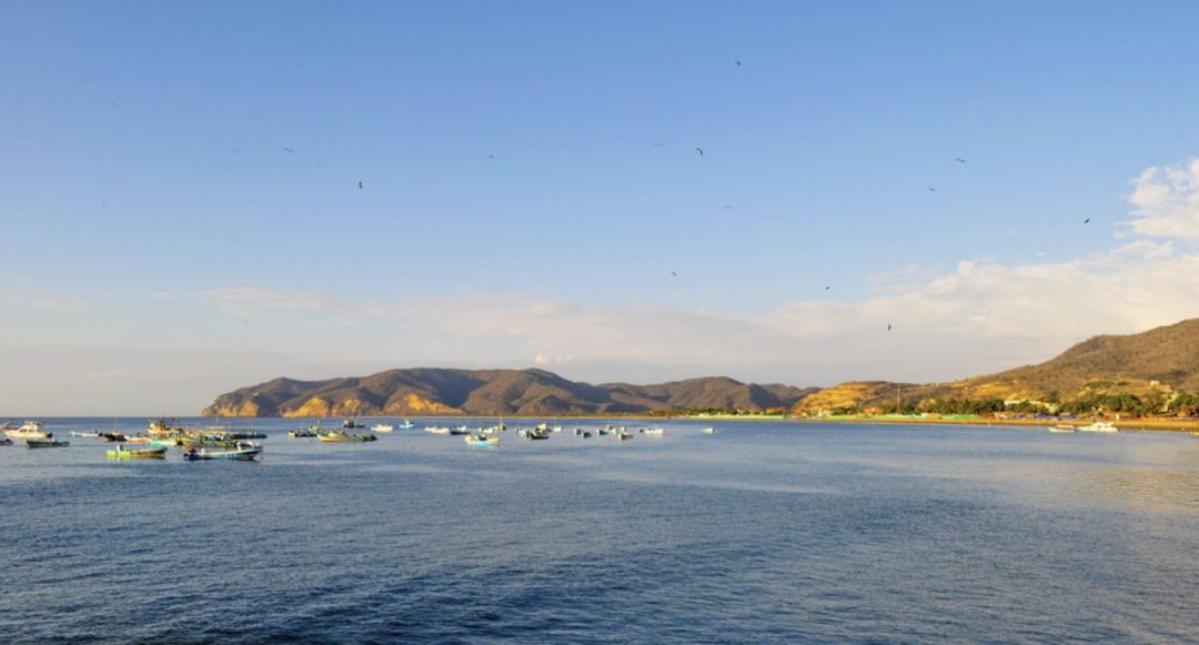 钱大妈海捕大虾，-196℃下的鲜味定格