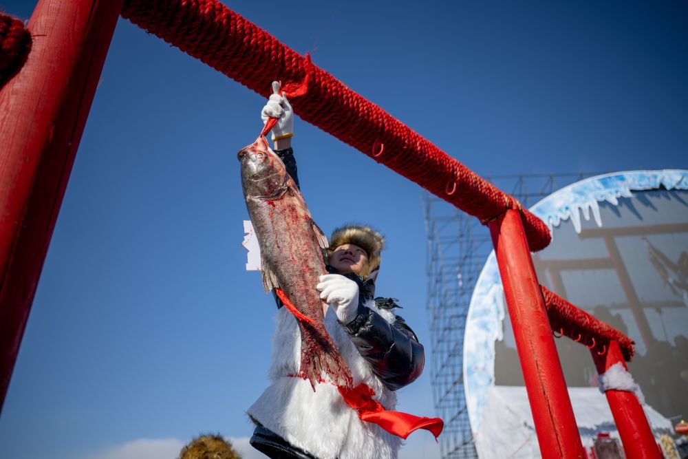 都在冬捕，哈素海第四届冬捕节究竟有何不同？