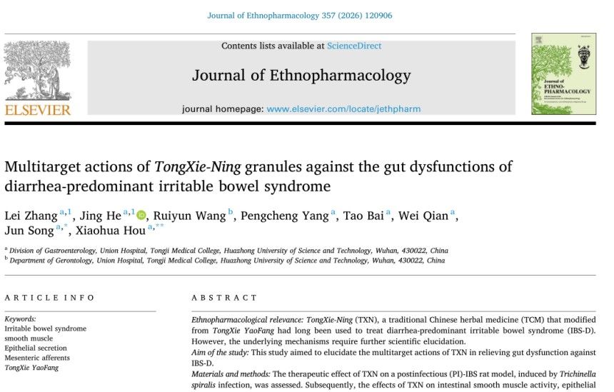 国际权威期刊发布华森制药痛泻宁颗粒重磅研究成果——治疗腹泻型肠易激综合征的多靶点作用机制