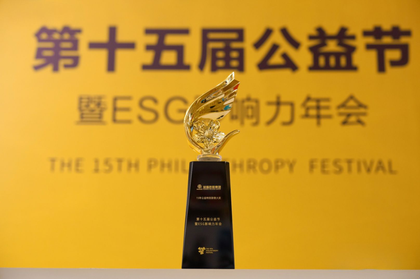 淮海控股集团被授予“15年公益特别致敬大奖”